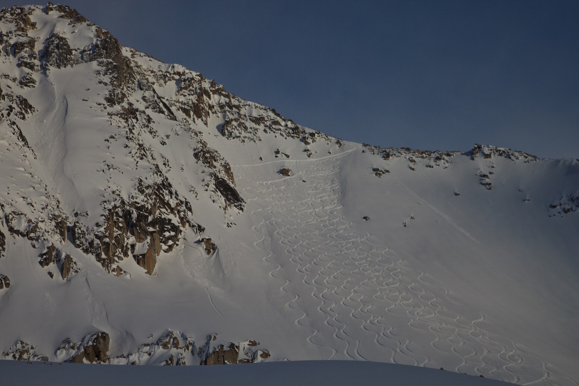 Des traces de ski fraîches descendant une pente de poudreuse dégagée, dans les monts Selkirk