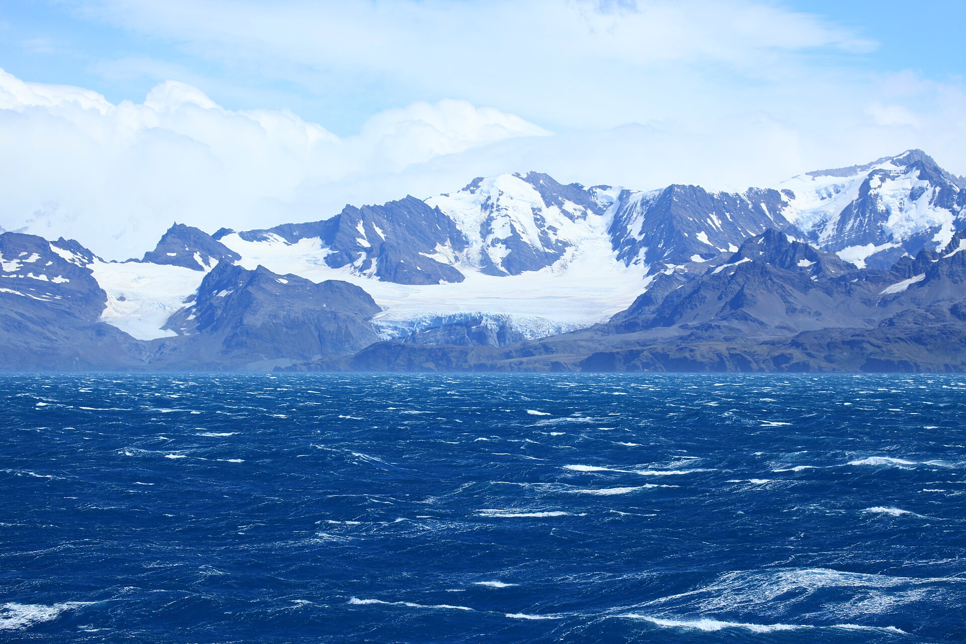 A wide view of South Georgia's snow-covered coast across rough blue water