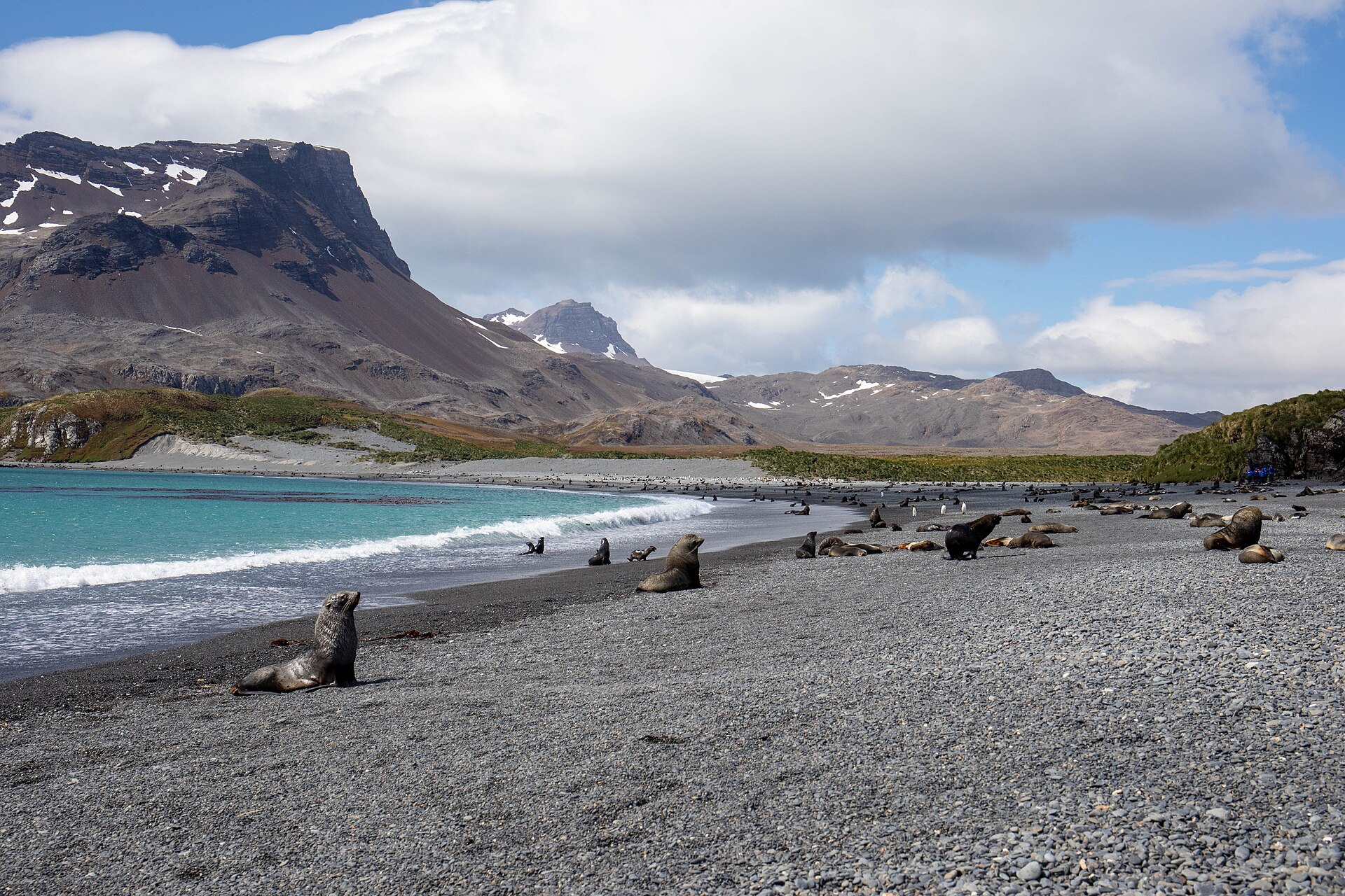 A broad beach, turquoise water and mountains at Fortuna Bay in South Georgia