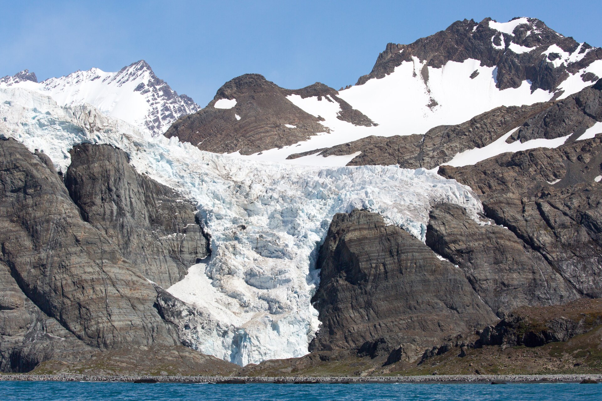 Bertrab Glacier spilling between dark rock walls in South Georgia