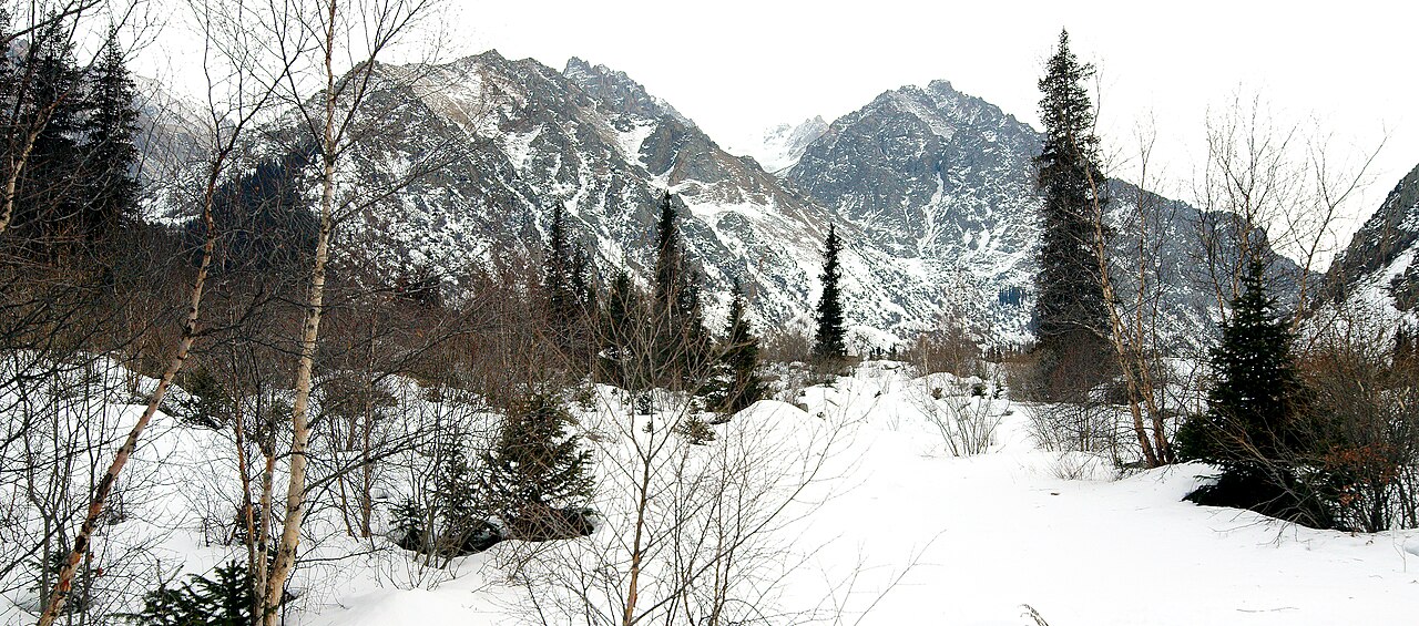 A snowy trail through juniper and spruce toward the mountains of Ala-Archa