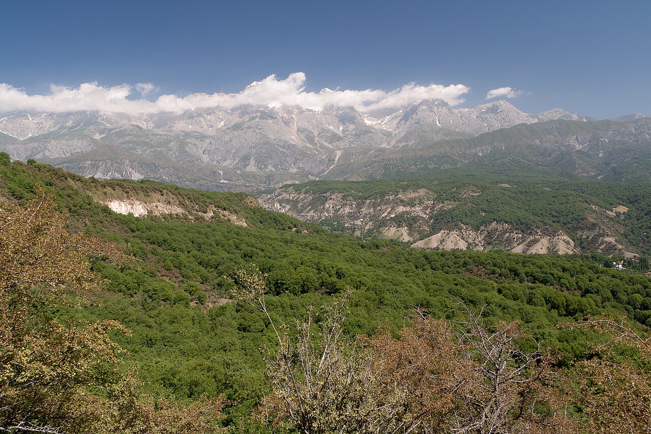 The green walnut forest of Arslanbob beneath a long mountain ridge