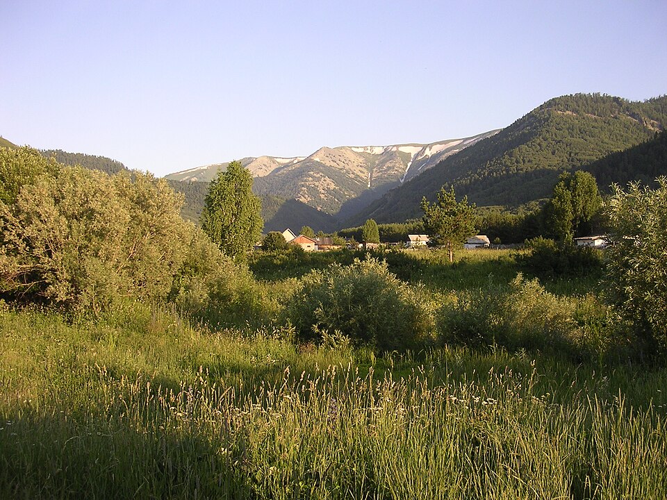 Green forest and mountain ridges in a canyon outside Ridder