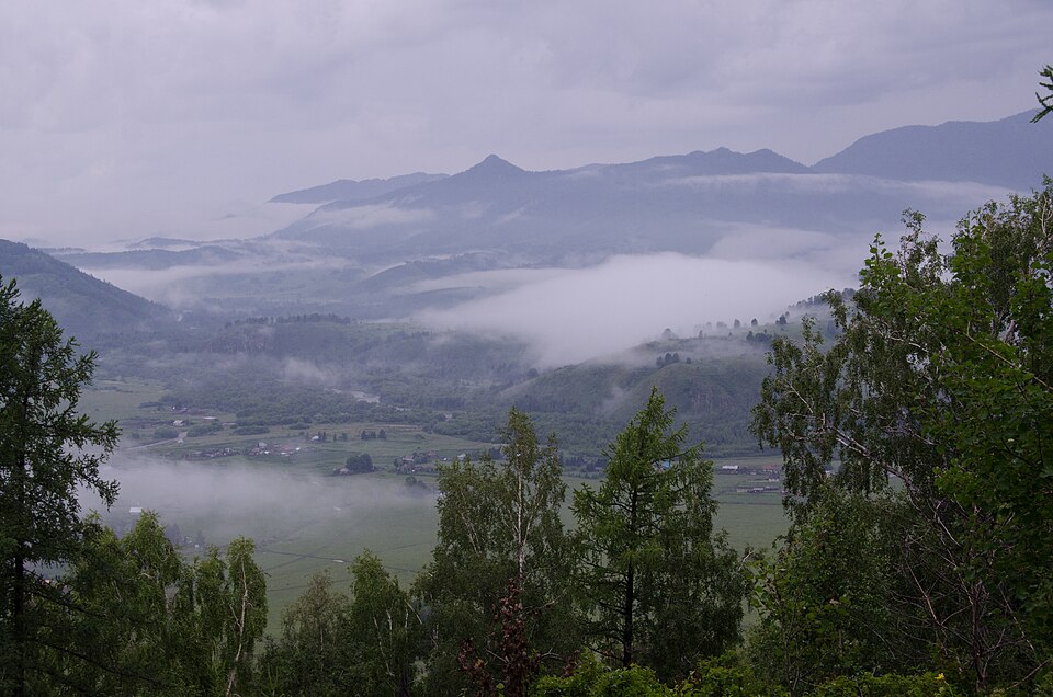 Low cloud floating among forested mountains near Ridder's Russian border