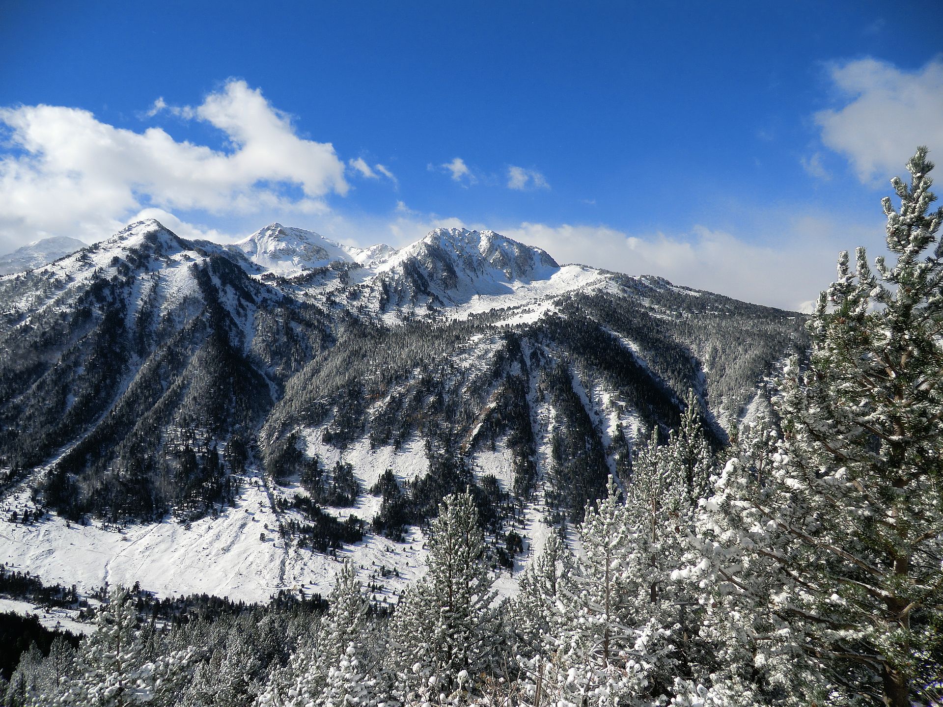 Snow-covered forest and mountains in Aigüestortes National Park