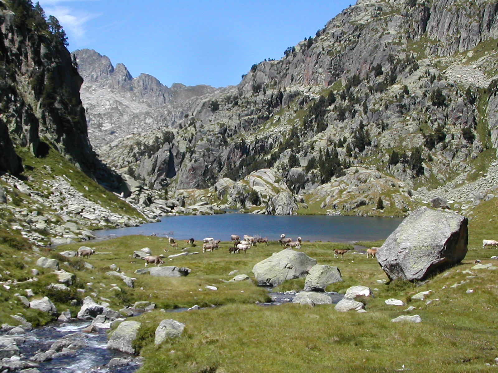 A high lake, granite slopes and pasture in Aigüestortes National Park