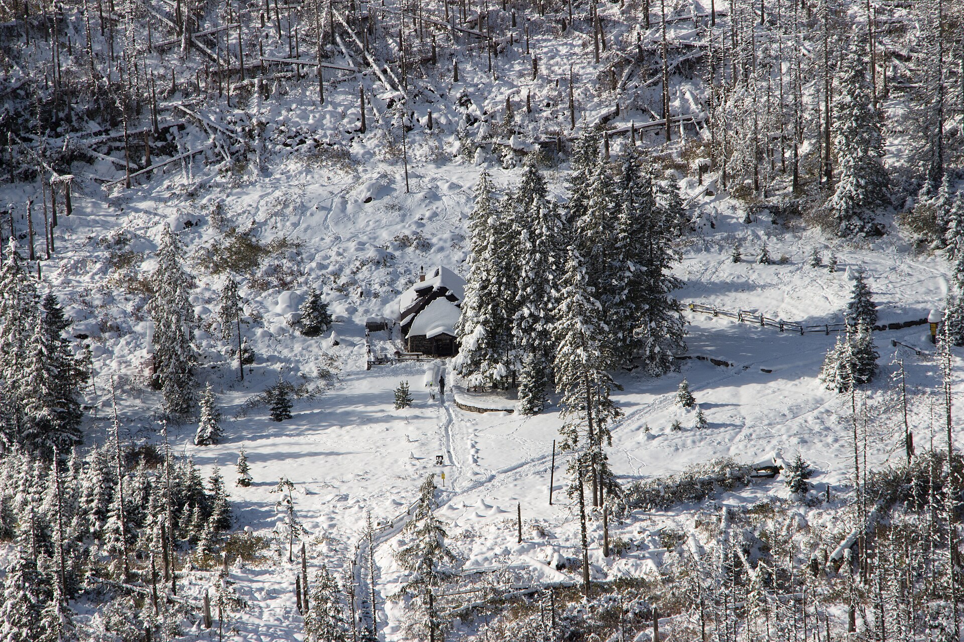 Rainerova Chata surrounded by snow-covered forest