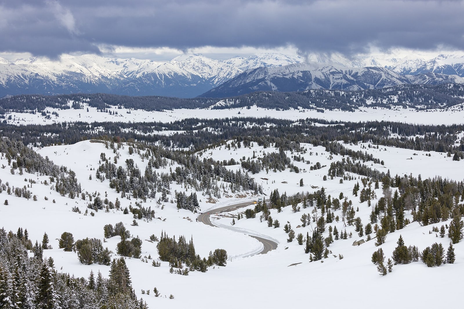A ploughed section of Beartooth Highway crossing a snowy mountain landscape