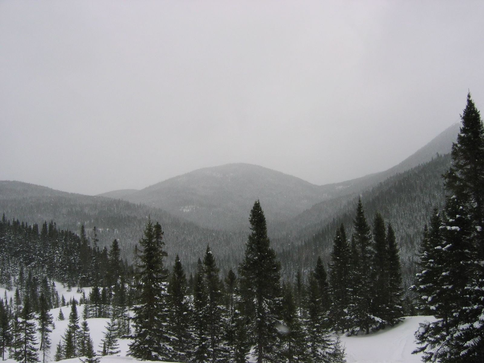 Snow-covered Chic-Choc mountains under a pale winter sky