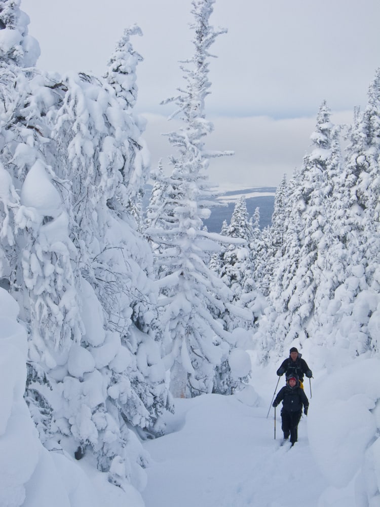 A skier travelling through snowy terrain in the Chic-Chocs