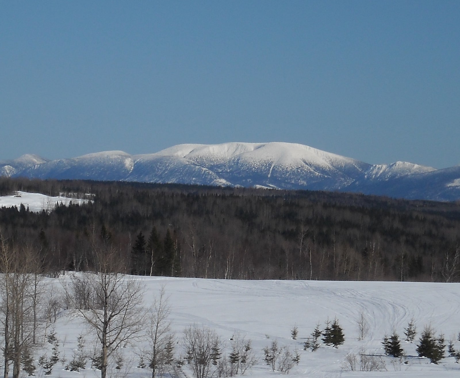The broad snow-covered summit of Mont Blanc in the Gaspésie