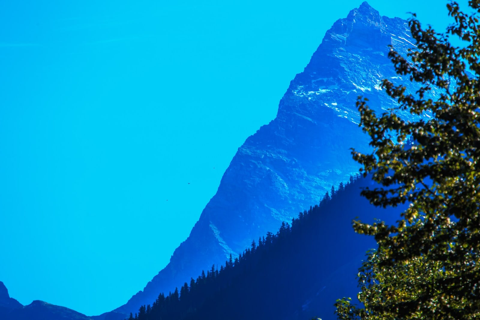 Mount Sir Donald and neighbouring summits in the Selkirk Mountains