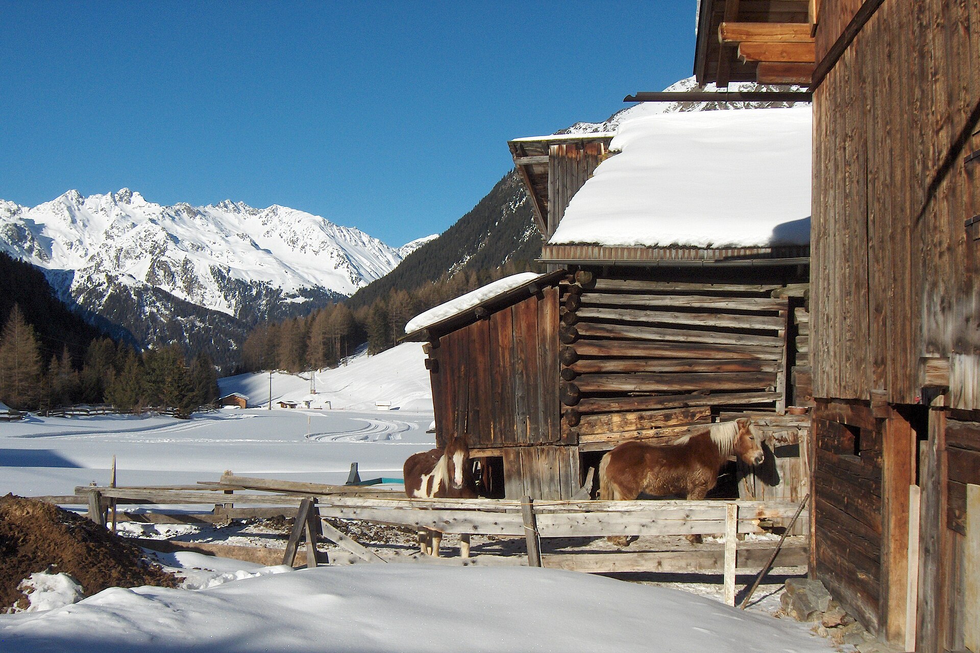Two horses standing beside a farm in deep snow at Gries in the Ötztal, Austria